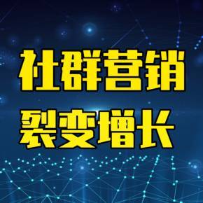 裂变增长与社群营销 企业营销策划实战指南